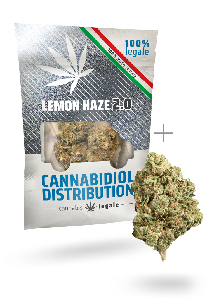 lemon haze 2.0