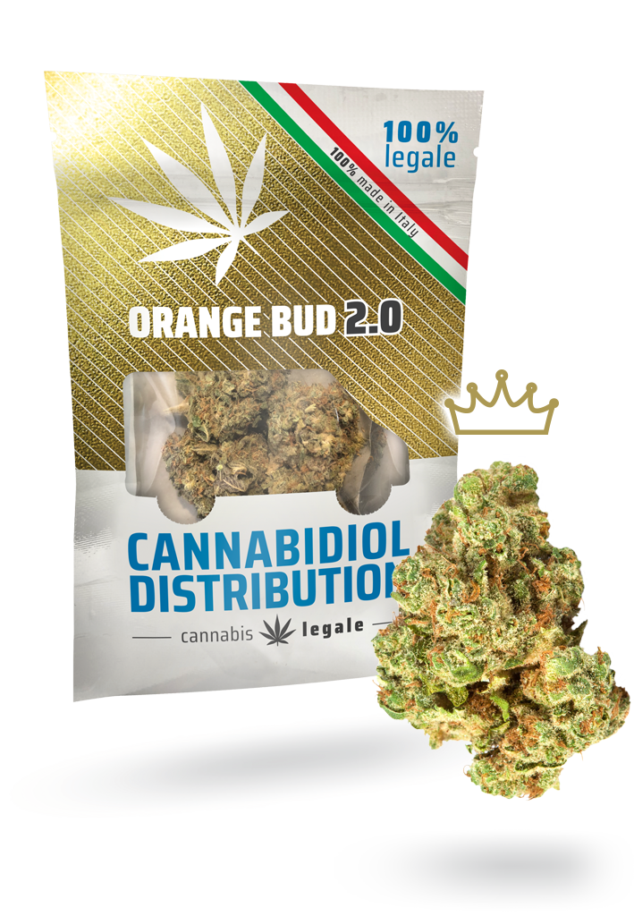 orange bud 2.0