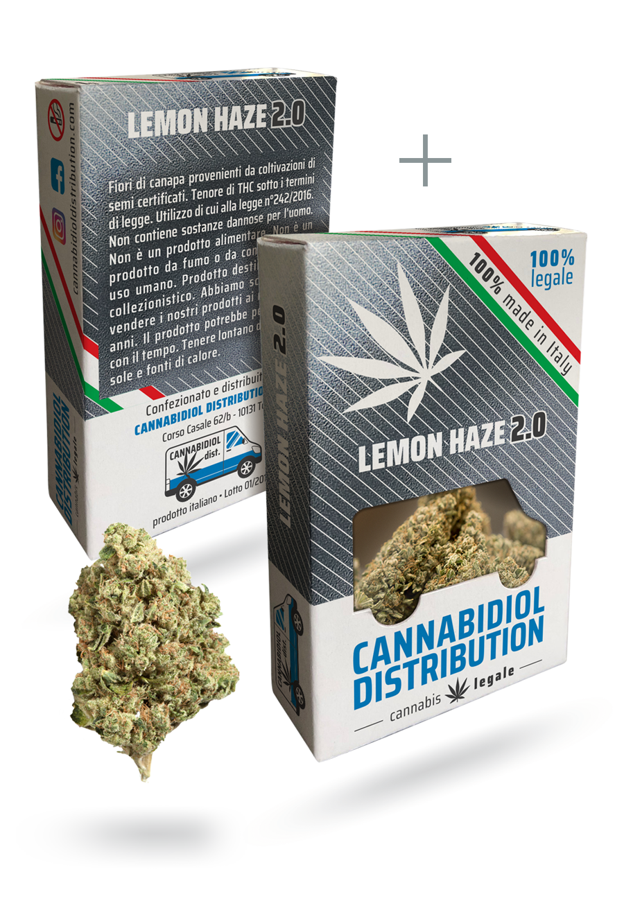 distributori lemonhaze 2.0