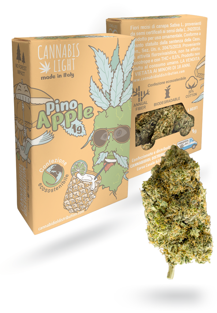 cannabis light Pino Apple